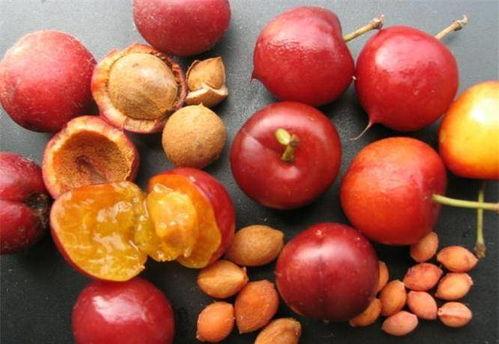 山楂加工爆料视频大全图片,从采摘到成品，一图览尽美味诞生记